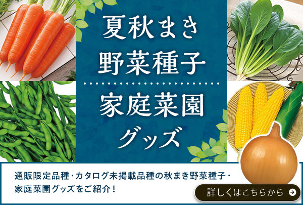 秋まき野菜種子家庭菜園グッズ