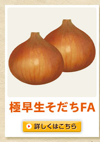 極早生そだちFA