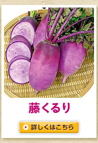 藤くるり