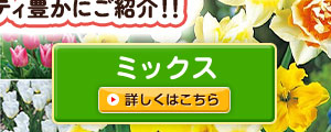 ミックス