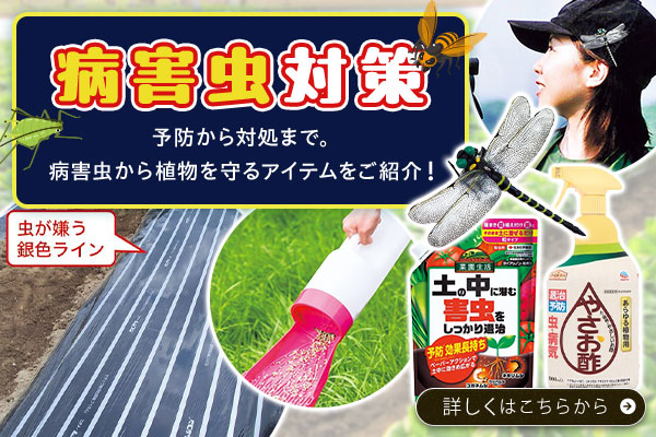 病害虫対策