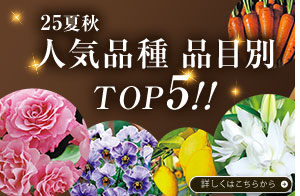 人気品種　品目別TOP5！！