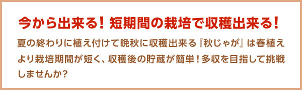 今から出来る！短期間の栽培で収穫出来る！