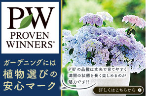 ＰＷ特集