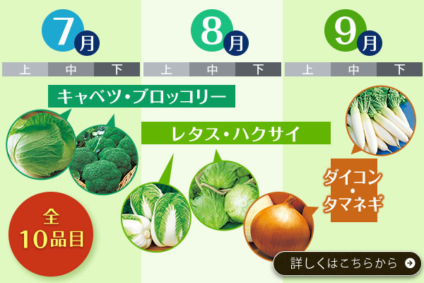 タネまきカレンダー【野菜タネ】