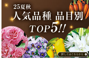 人気品種　品目ごとTOP5