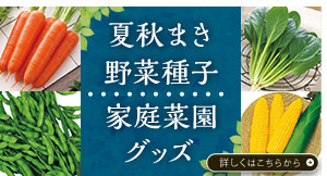 夏秋まき野菜種子・家庭菜園グッズ
