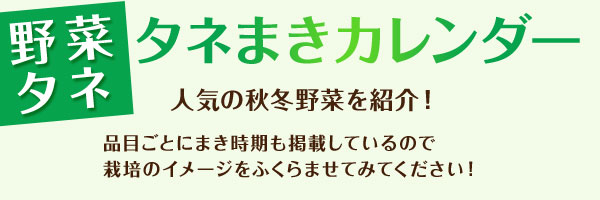 人気の秋冬野菜を紹介