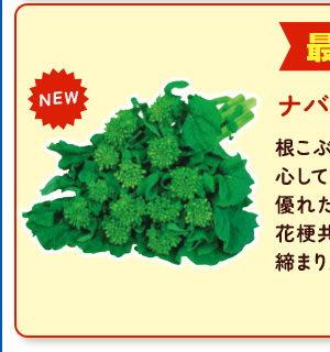 CR花かんざし