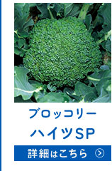 ハイツSP