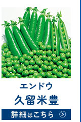 久留米豊