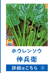 伸兵衛