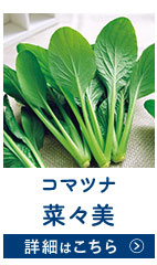 菜々美