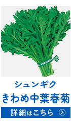 きわめ中葉春菊