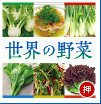 世界の野菜