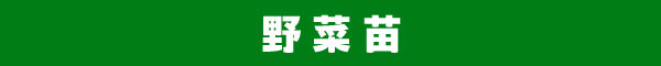野菜苗