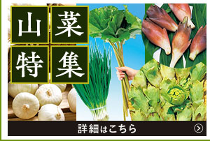 山菜特集