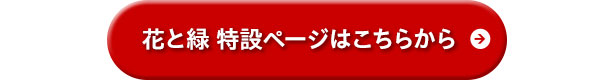 topに戻る