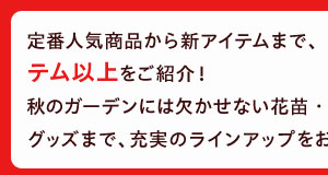 定番人気商品から新アイテムまで、