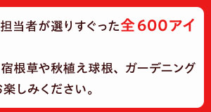 担当者が選りすぐった全600アイテム以上をご紹介！