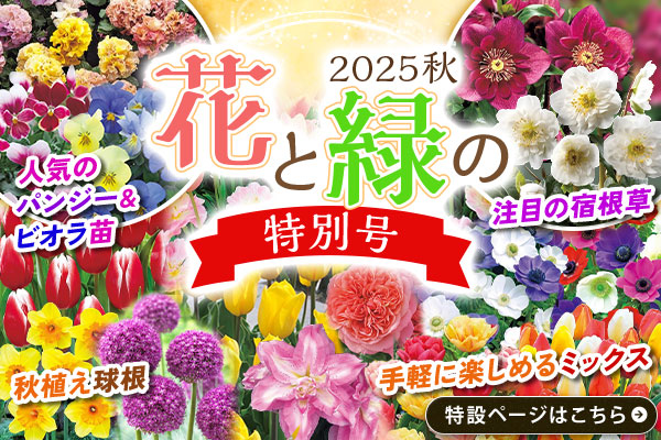 花と緑の特別号