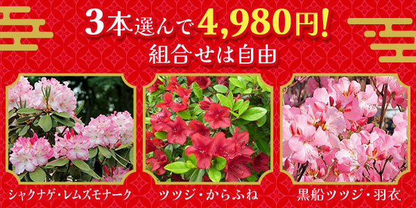 3本選んで4,980円！