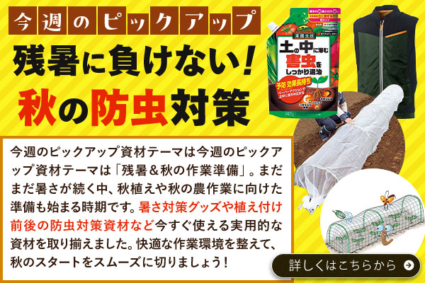 残暑に負けない！秋の防虫対策