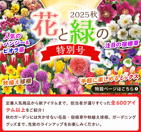 花と緑の特別号