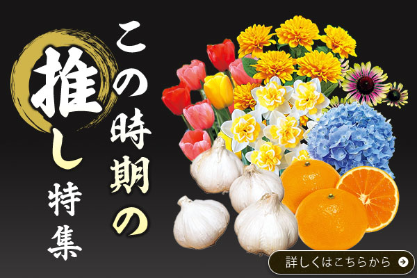 この時期の推し特集