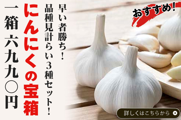 にんにくの宝箱
