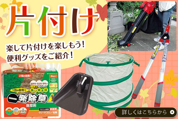 片付け