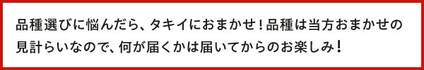 品種選びに悩んだら、タキイにおまかせ！