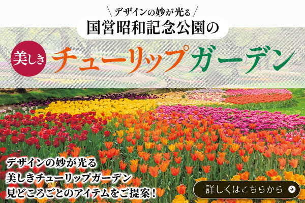 昭和記念公園チューリップ特集