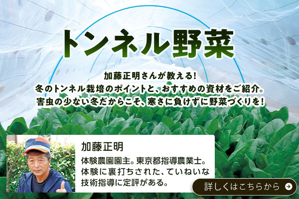 トンネル野菜