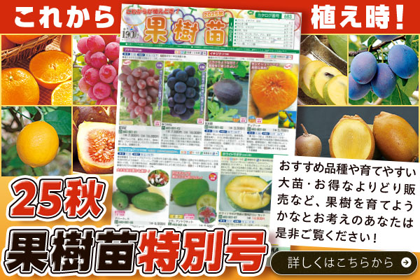 これから植え時！25秋果樹苗特別号