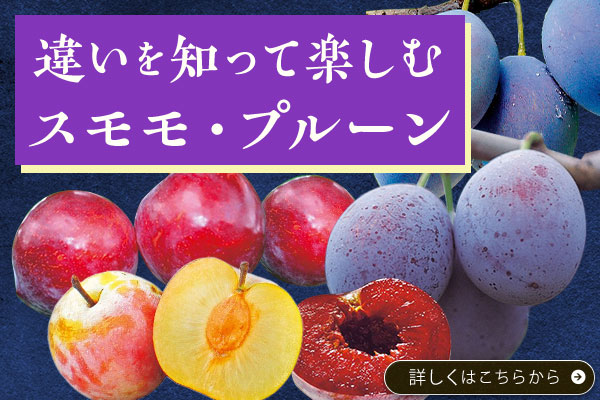 違いを知って楽しむスモモ・プルーン