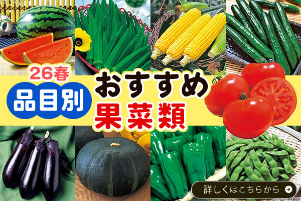 品目別おすすめ果菜類