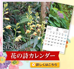 花の詩カレンダー