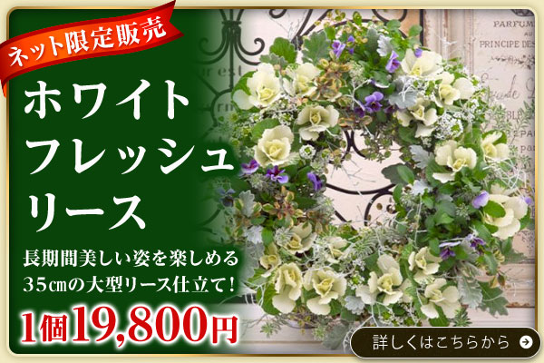 ホワイトフレッシュリース