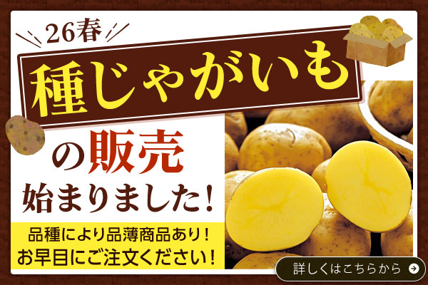 種じゃがいもの販売始まりました！　