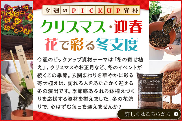 クリスマス・迎春、花で彩る冬支度