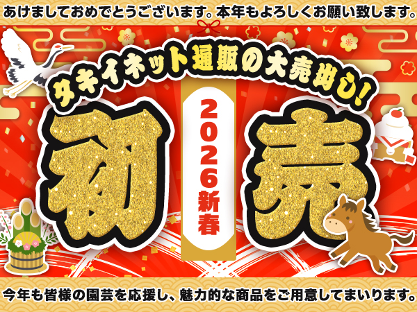 あけましておめでとうございます。