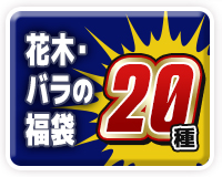 花木・バラの福袋20選