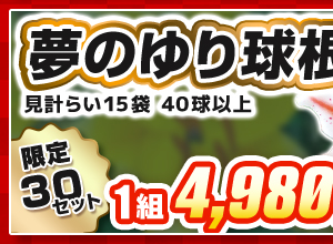 夢のゆり　福袋