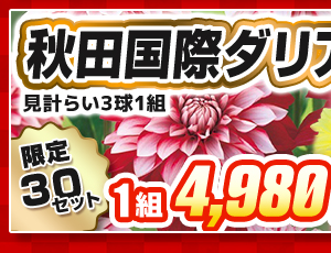 秋田国際ダリア園　福袋