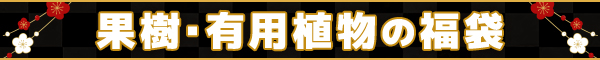 果樹･有用植物の福袋