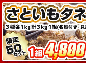 さといもの福袋