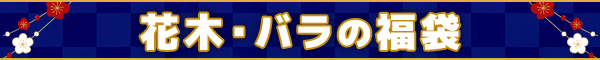 花木・バラの福袋