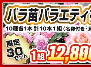 バラのバラエティ福袋10本セット