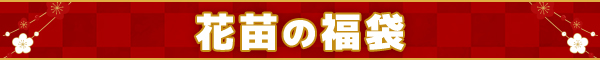 花苗の福袋